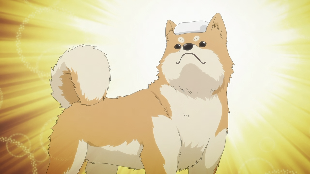 Heya Camp△: Sauna to Gohan to Sanrin Bike (Anime Underground)